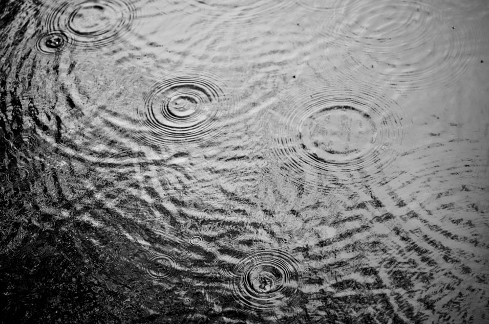 Fine art photography of raindrop circles, photo by Niels-Jacob Dandanell.